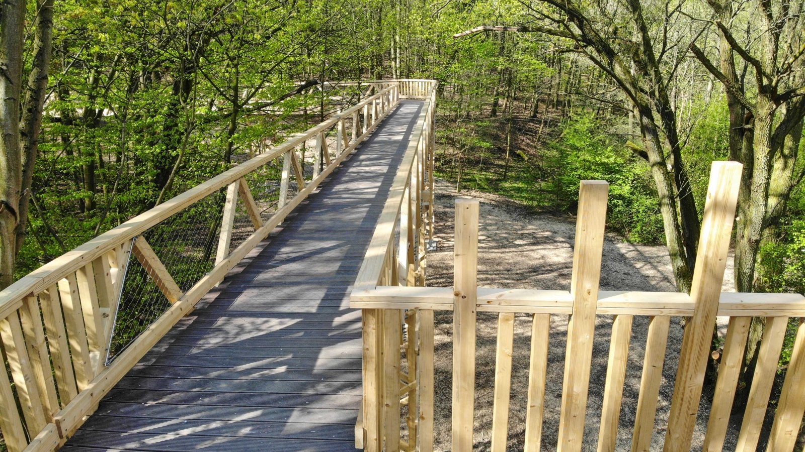 Ścieżka w koronach drzew, fot. UMP