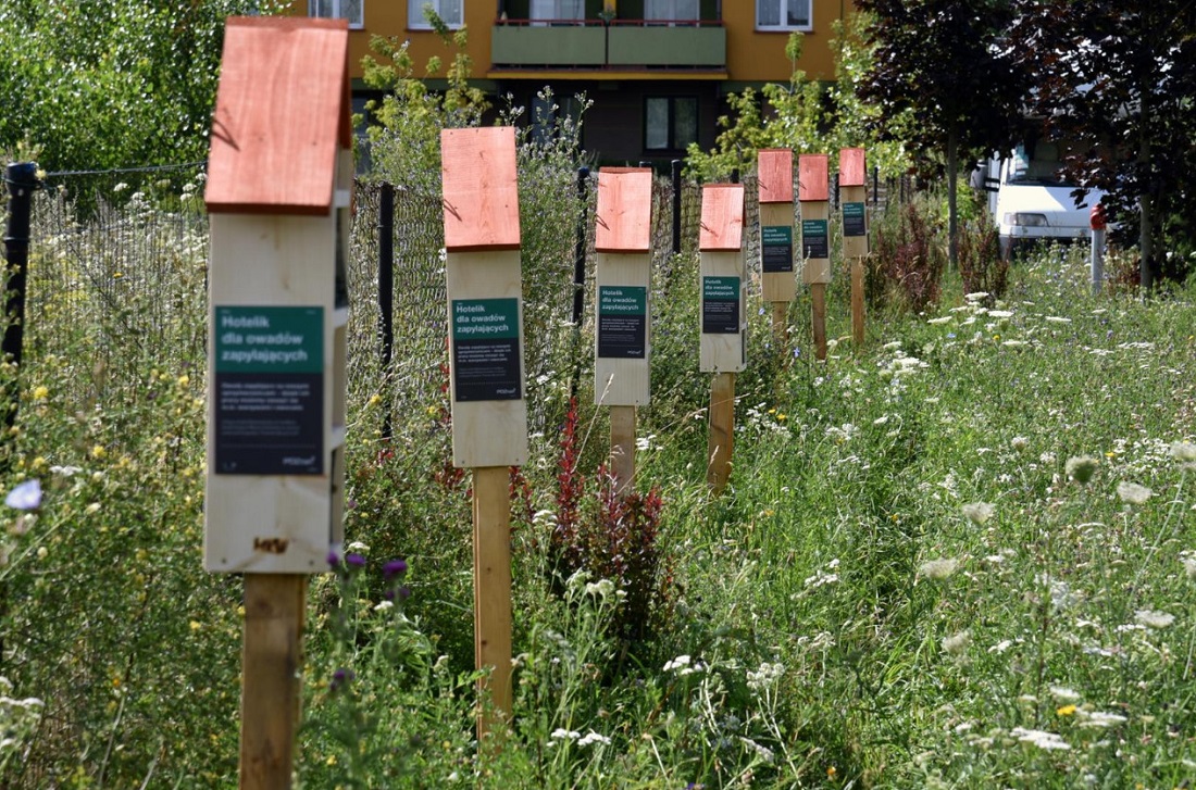 Fot. Miasto Poznań - grafika artykułu
