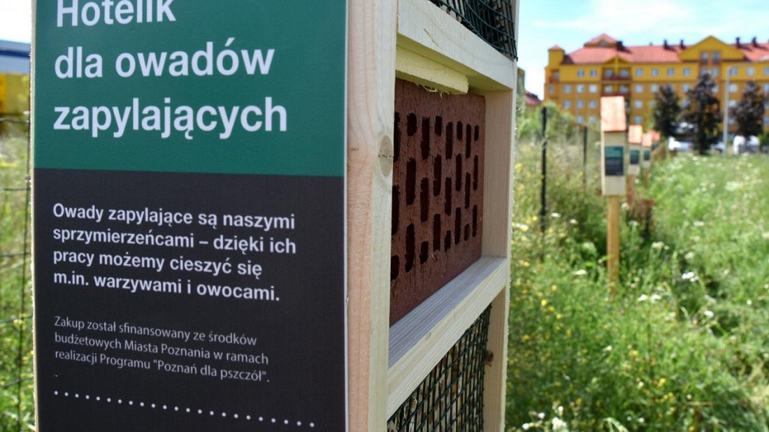 Fot. Miasto Poznań