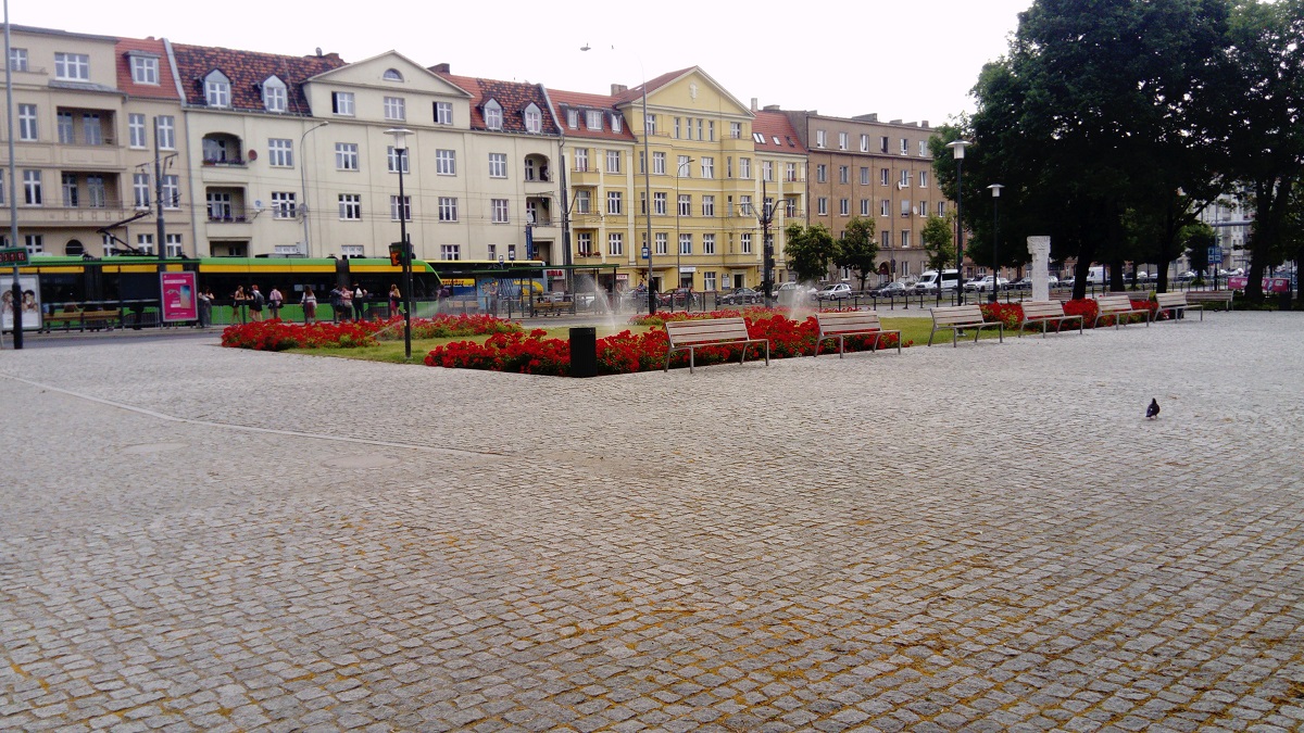 Fot. Zarząd Zieleni Miejskiej - grafika artykułu
