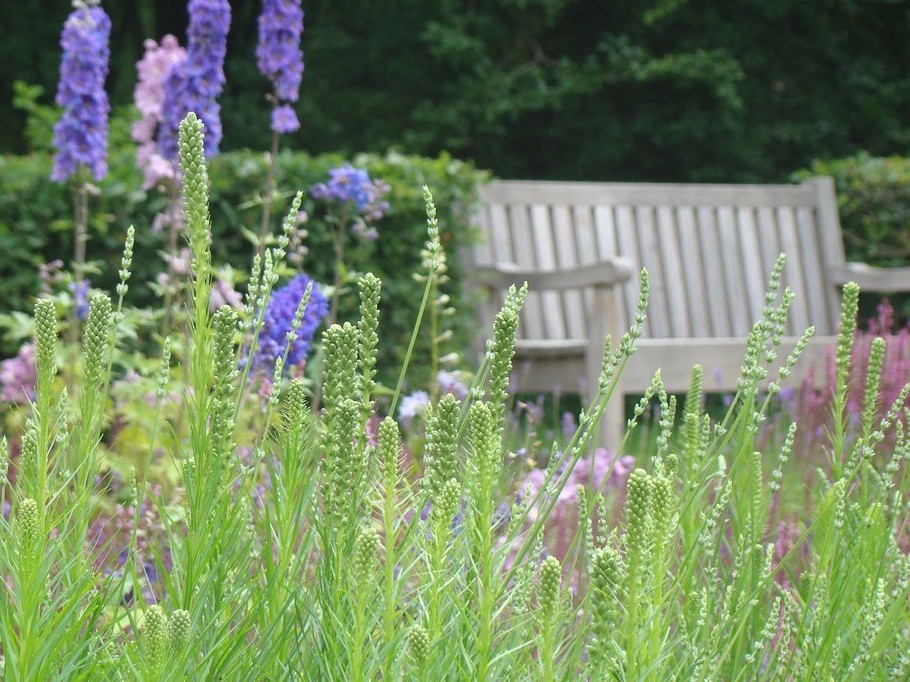 Poznański park miejski z ławeczką parkową w okresie letnim - grafika artykułu