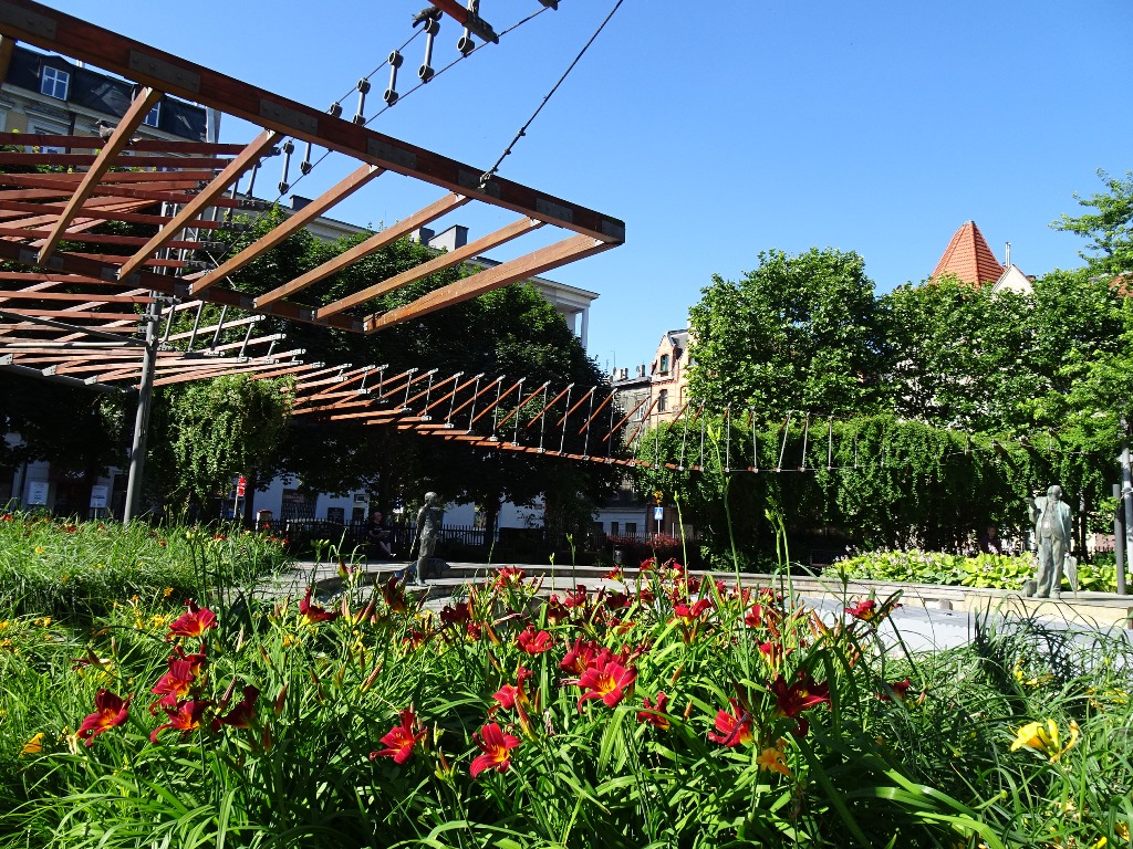 Fot. Szymon Mazur - grafika artykułu