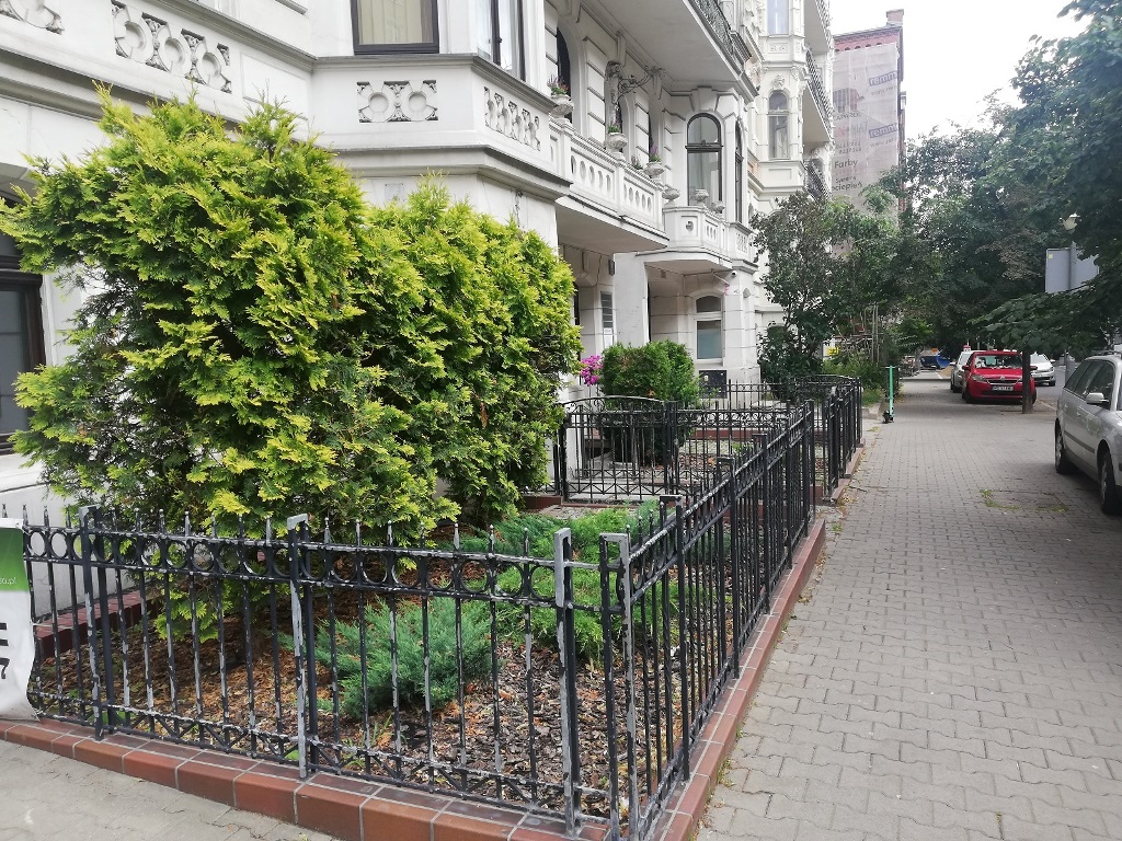 Przedogródek na ul. Działyńskich, fot. Tomasz Dworek - grafika artykułu