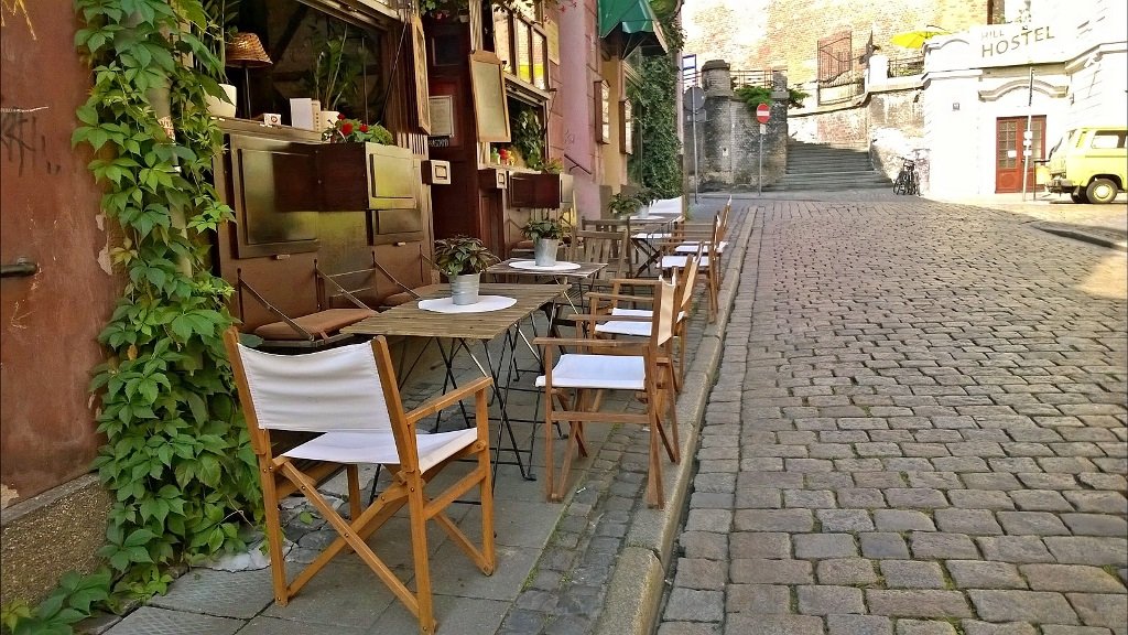 Zieleń fasadowa na ul. Zamkowej, fot. Tomasz Dworek