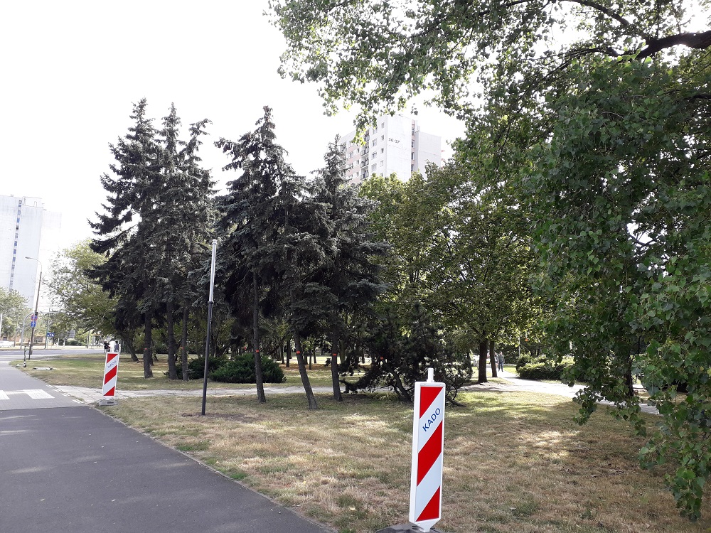 Fot. biuletyn.poznan.pl - grafika artykułu