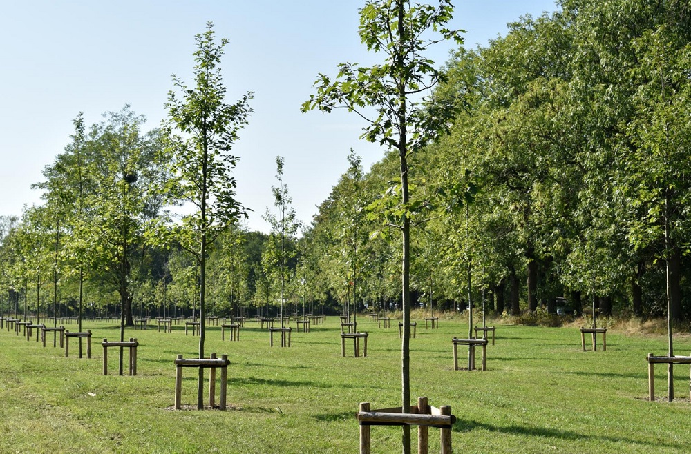 Fot. Urząd Miasta Poznania - grafika artykułu
