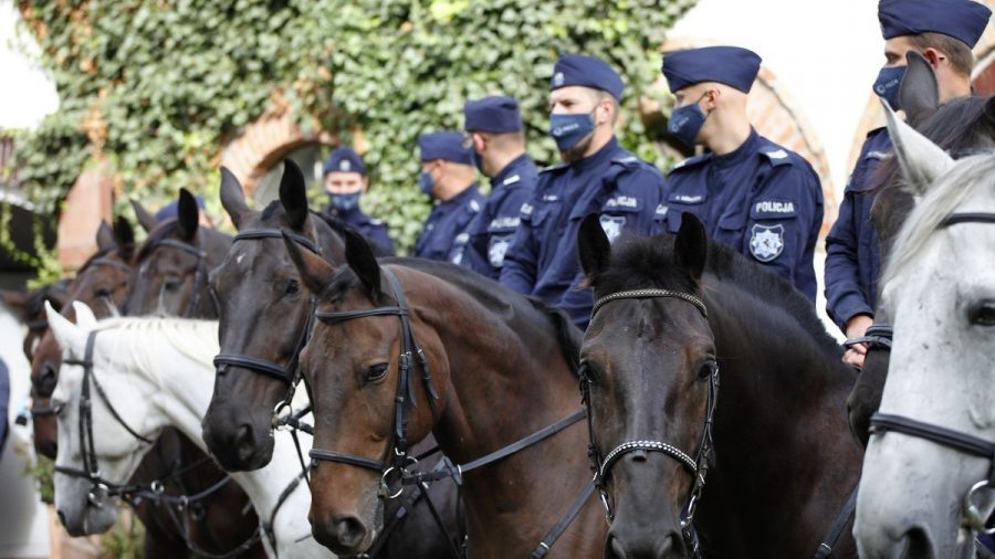 Ogniwo Konne Komendy Miejskiej Policji w Poznaniu, Fot. KMP