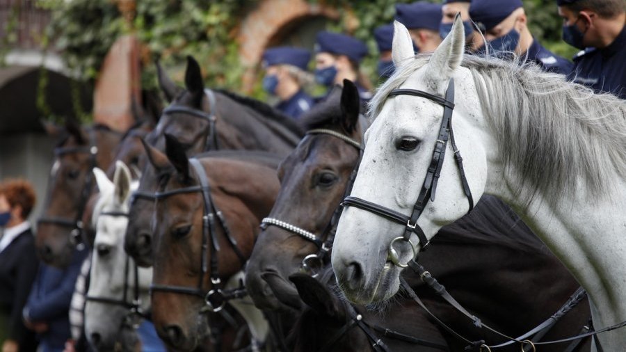 Ogniwo Konne Komendy Miejskiej Policji w Poznaniu, Fot. KMP