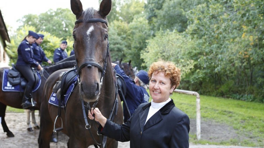 Ogniwo Konne Komendy Miejskiej Policji w Poznaniu, Fot. KMP