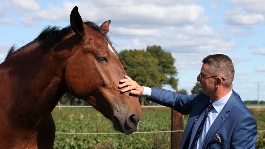 Ogniwo Konne Komendy Miejskiej Policji w Poznaniu, Fot. KMP
