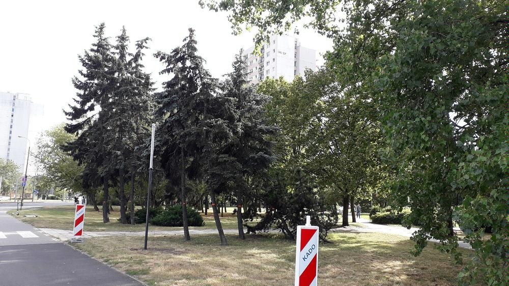 Fot. biuletyn.poznan.pl - grafika artykułu