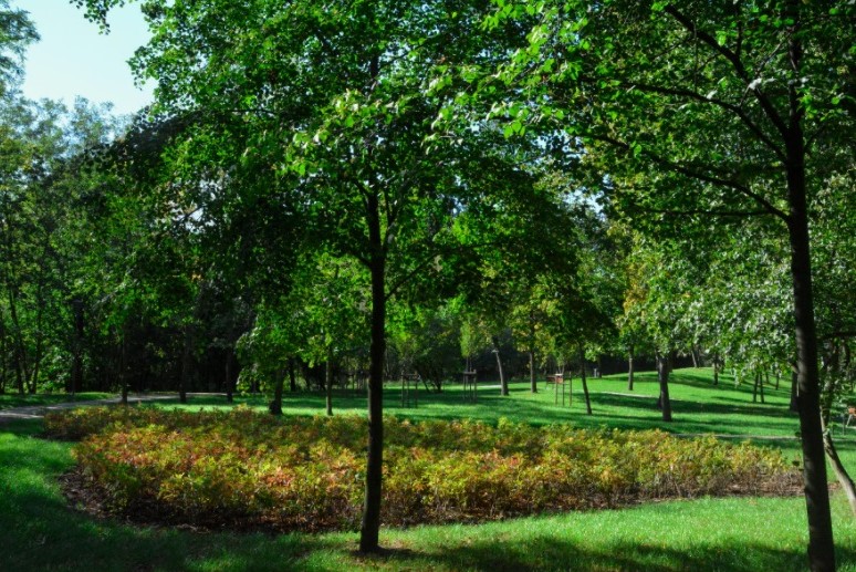 Fot. Miasto Poznań - grafika artykułu