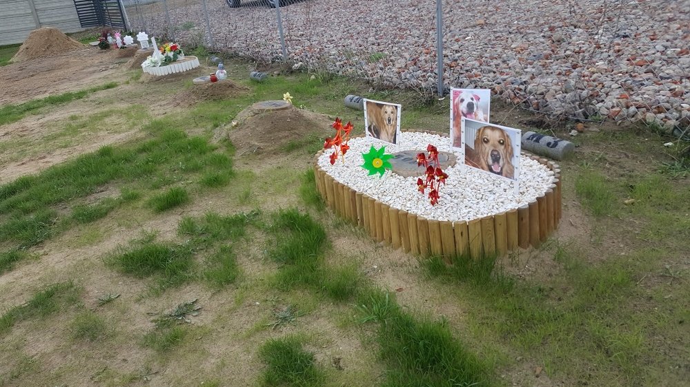 Cmentarz dla zwierząt domowych w gminie Nekla, fot. petcemetery.pl