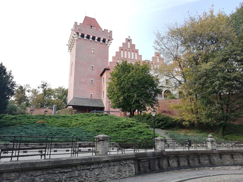 Fot. Tomasz Dworek - grafika artykułu