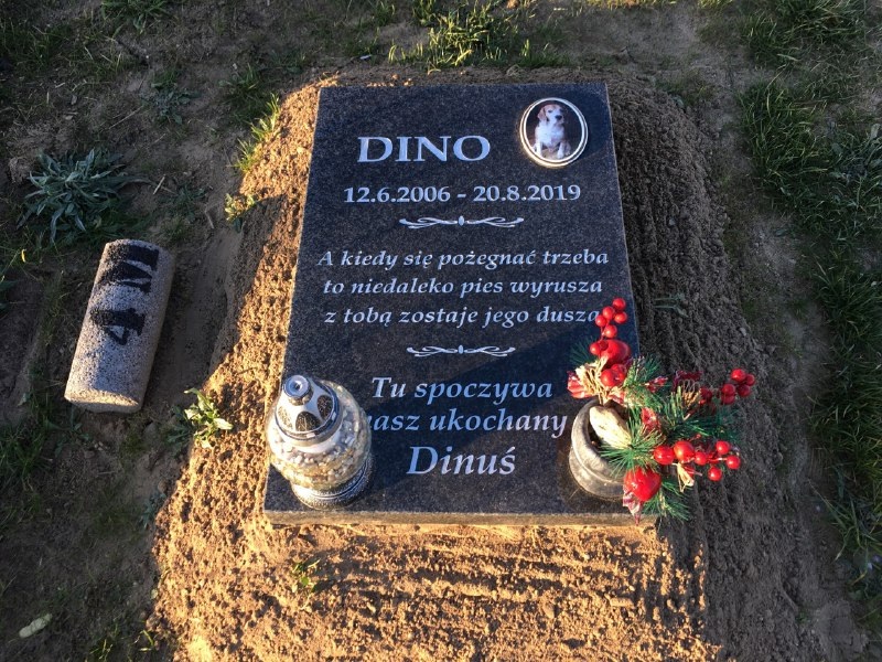 Cmentarz dla zwierząt domowych w gminie Nekla, fot. petcemetery.pl - grafika artykułu