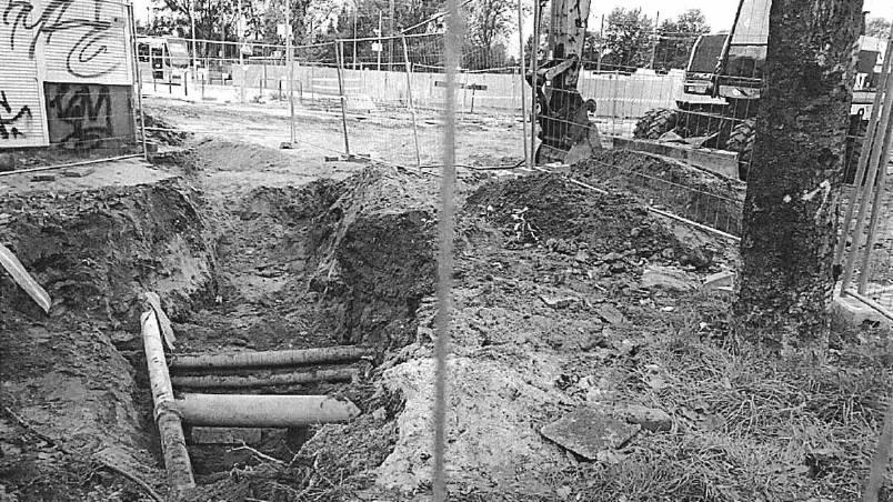 Przypadki niewłaściwego zabezpieczenie drzew, Fot. RMP