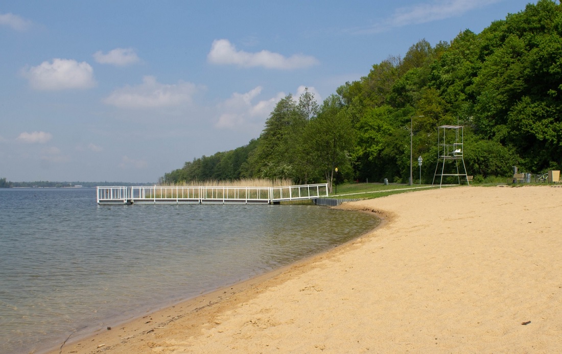 Fot. PIM - grafika artykułu