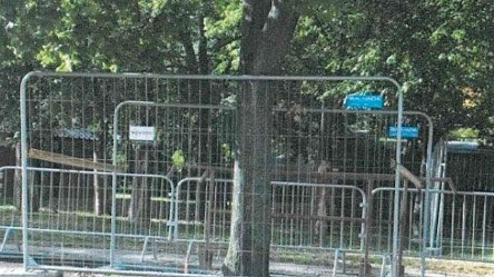 Drzewo na placu budowy w rejonie Ronda Rataje, fot. RMP