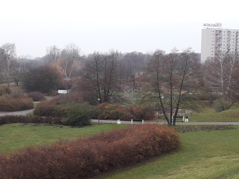 Fot. biuletyn.poznan.pl - grafika artykułu