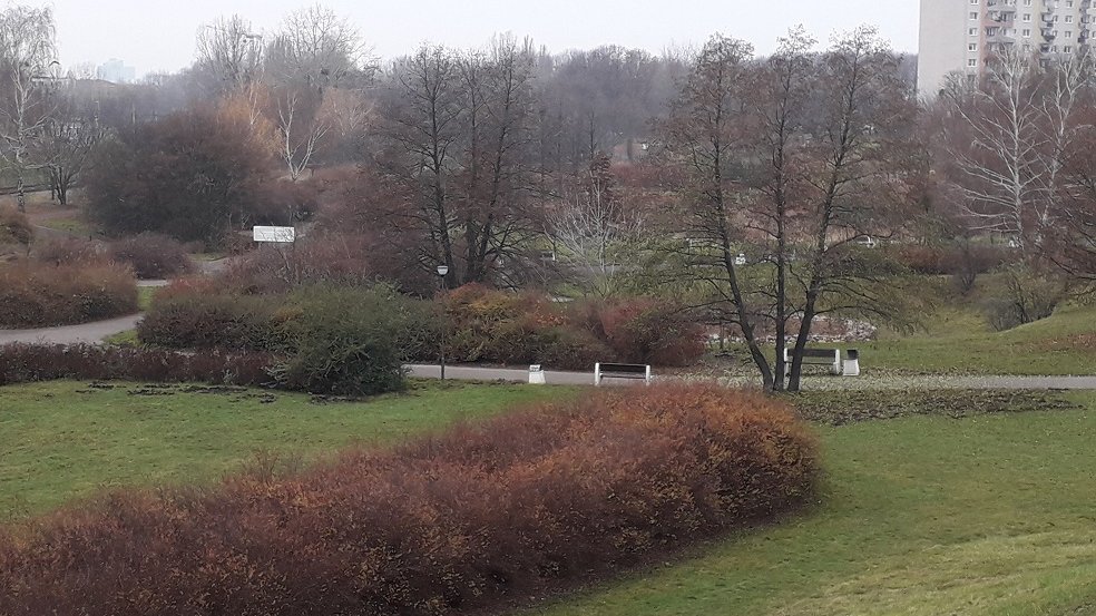 Fot. biuletyn.poznan.pl