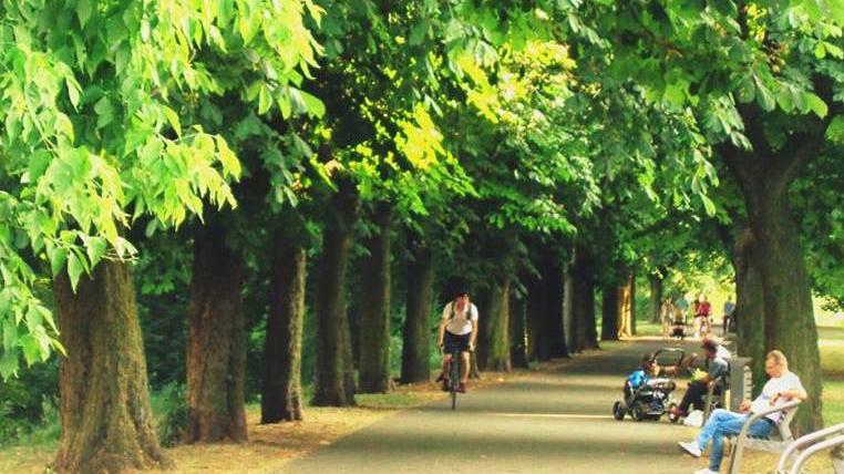 Park im. Tadeusza Mazowieckiego - grafika artykułu