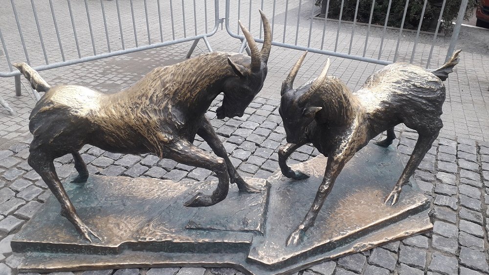 Koziołki wróciły na pl. Kolegiacki (fot. biuletyn.poznan.pl)