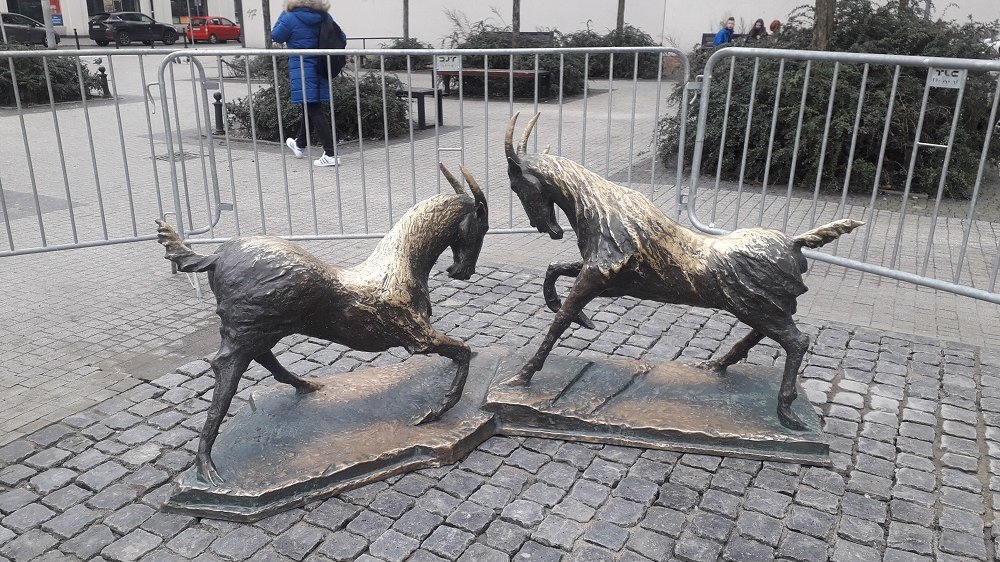 Koziołki wróciły na pl. Kolegiacki (fot. biuletyn.poznan.pl)