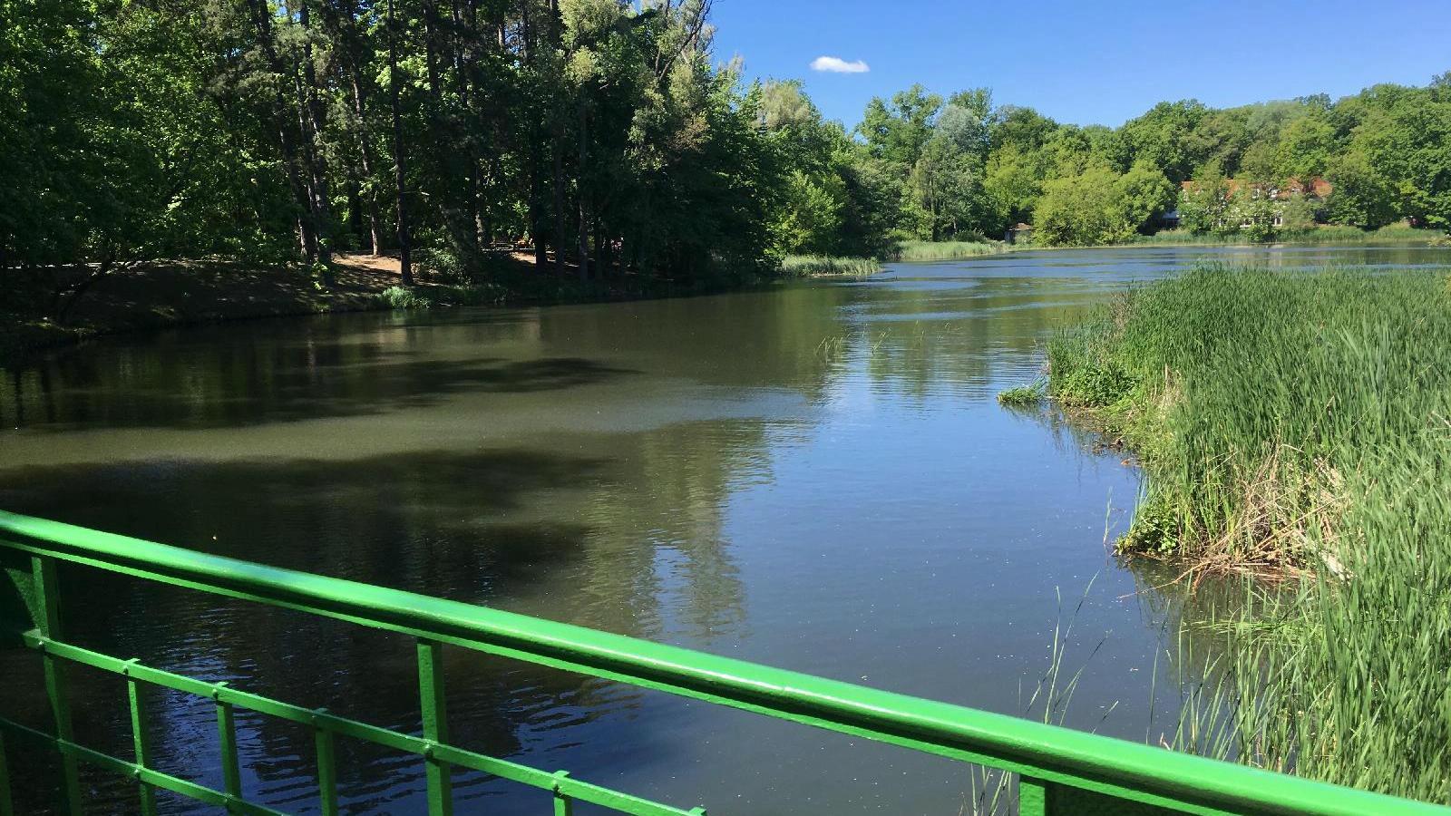 Fot. Miasto Poznań - grafika artykułu