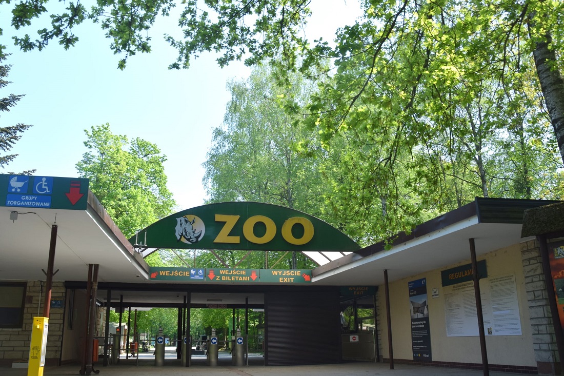 Nowe ZOO w Poznaniu - grafika artykułu