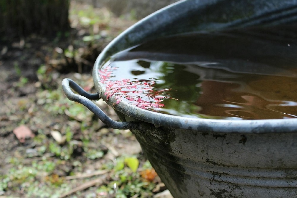 Fot. Pixabay - grafika artykułu