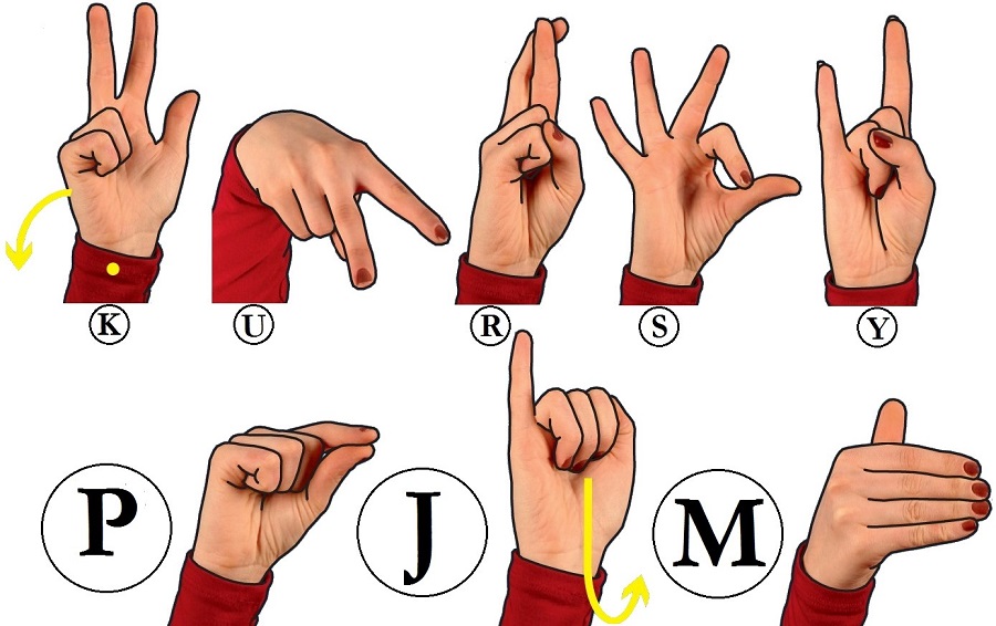 Źródło: Towarzystwo Tłumaczy i Wykładowców Języka Migowego GEST - grafika artykułu