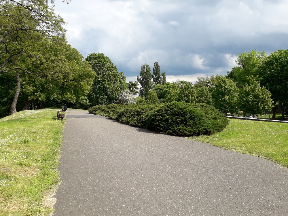 Fot. biuletyn.poznan.pl - grafika artykułu