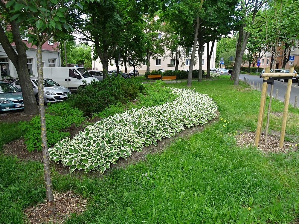 Skwer Józefa Przesławskiego - grafika artykułu