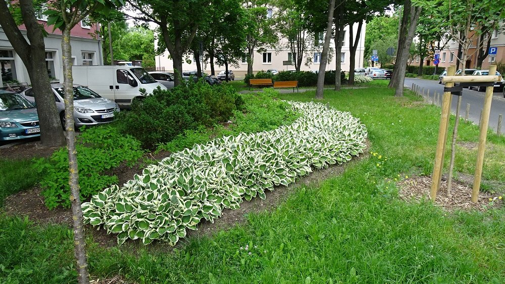 Skwer Józefa Przesławskiego