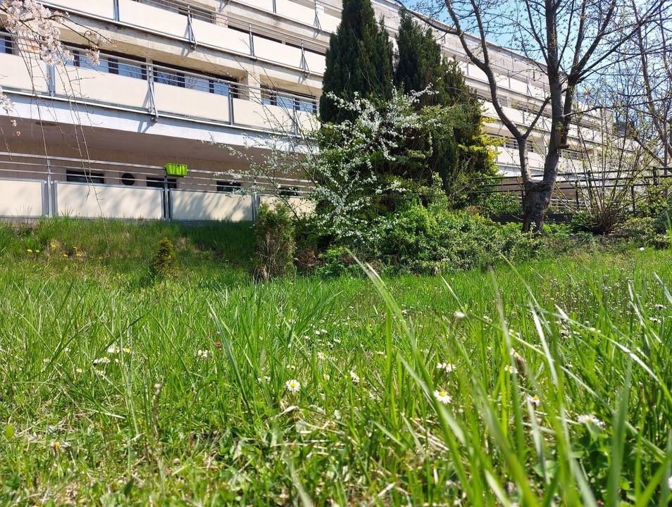 DPS Ugory - grafika artykułu