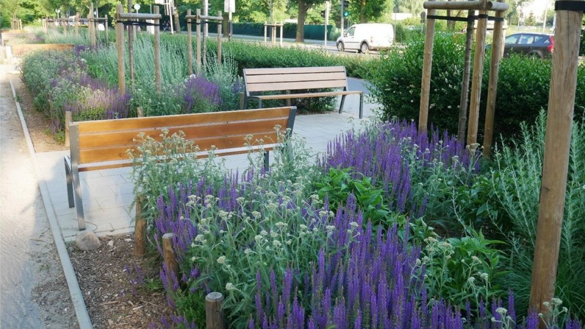 Zieleń w mieście, fot. ZDM