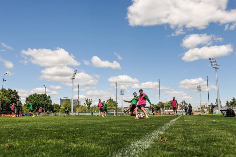Trening na obiektach Warty Poznań, fot. Warta Poznań SA - grafika artykułu