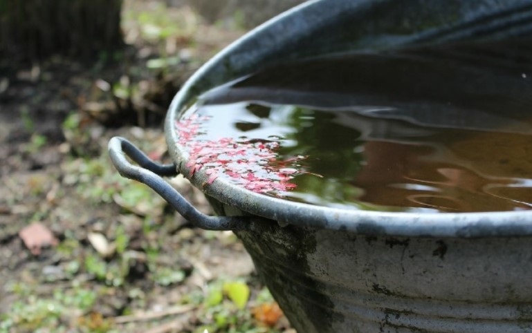 Zmiany w programie dofinansowania inwestycji związanych z małą retencją - grafika artykułu
