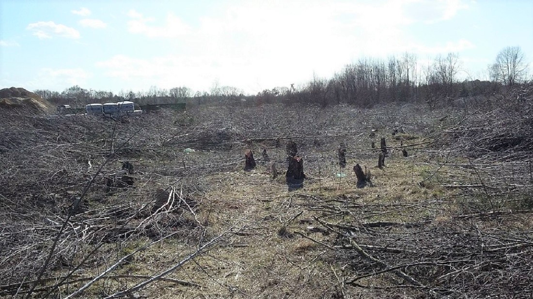 Fot. Rada Osiedla Umultowo, rok 2017 - grafika artykułu