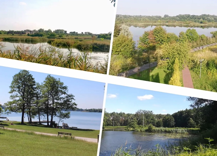 To naturalne tereny pokryte roślinnościa i wodą - grafika artykułu