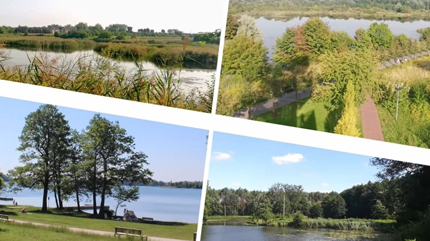 To naturalne tereny pokryte roślinnościa i wodą