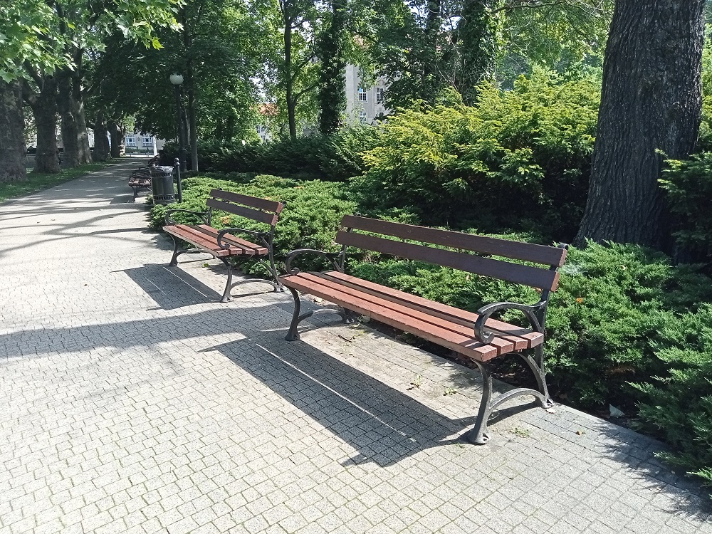 Fot. biuletyn.poznan.pl - grafika artykułu