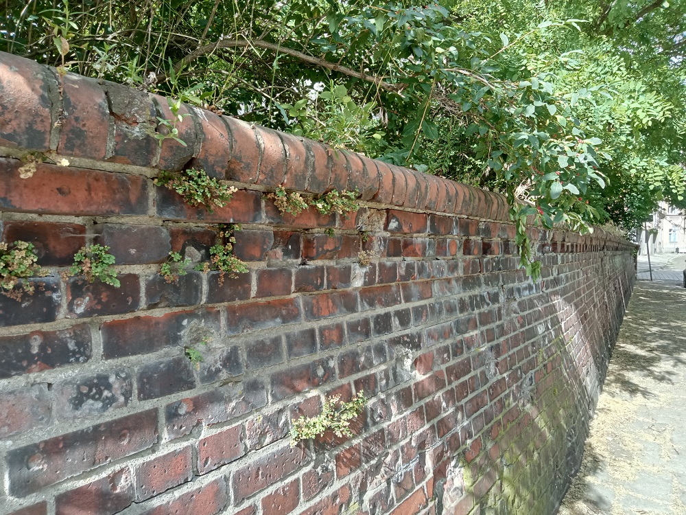 Fot. biuletyn.poznan.pl - grafika artykułu