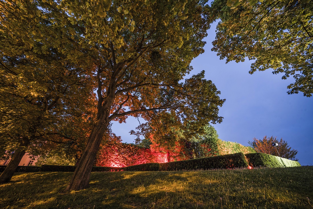 Skwer Jana Suwarta (fot. Grzegorz Dembiński) - grafika artykułu