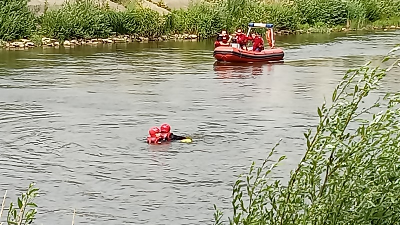 Fot. biuletyn.poznan.pl