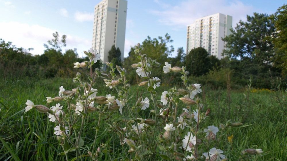 Teren jest objęty ochroną ze względu na cenną florę i faunę