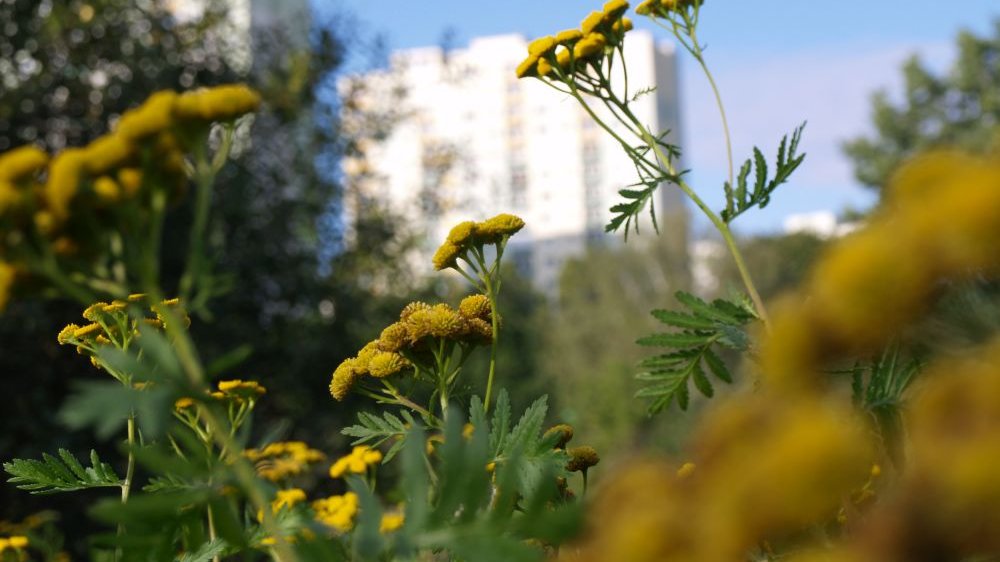 Teren jest objęty ochroną ze względu na cenną florę i faunę