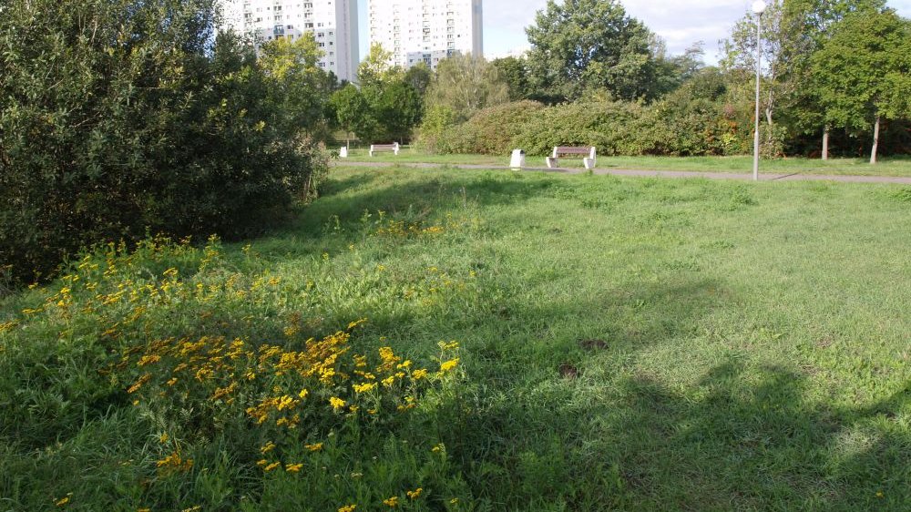 Teren jest objęty ochroną ze względu na cenną florę i faunę