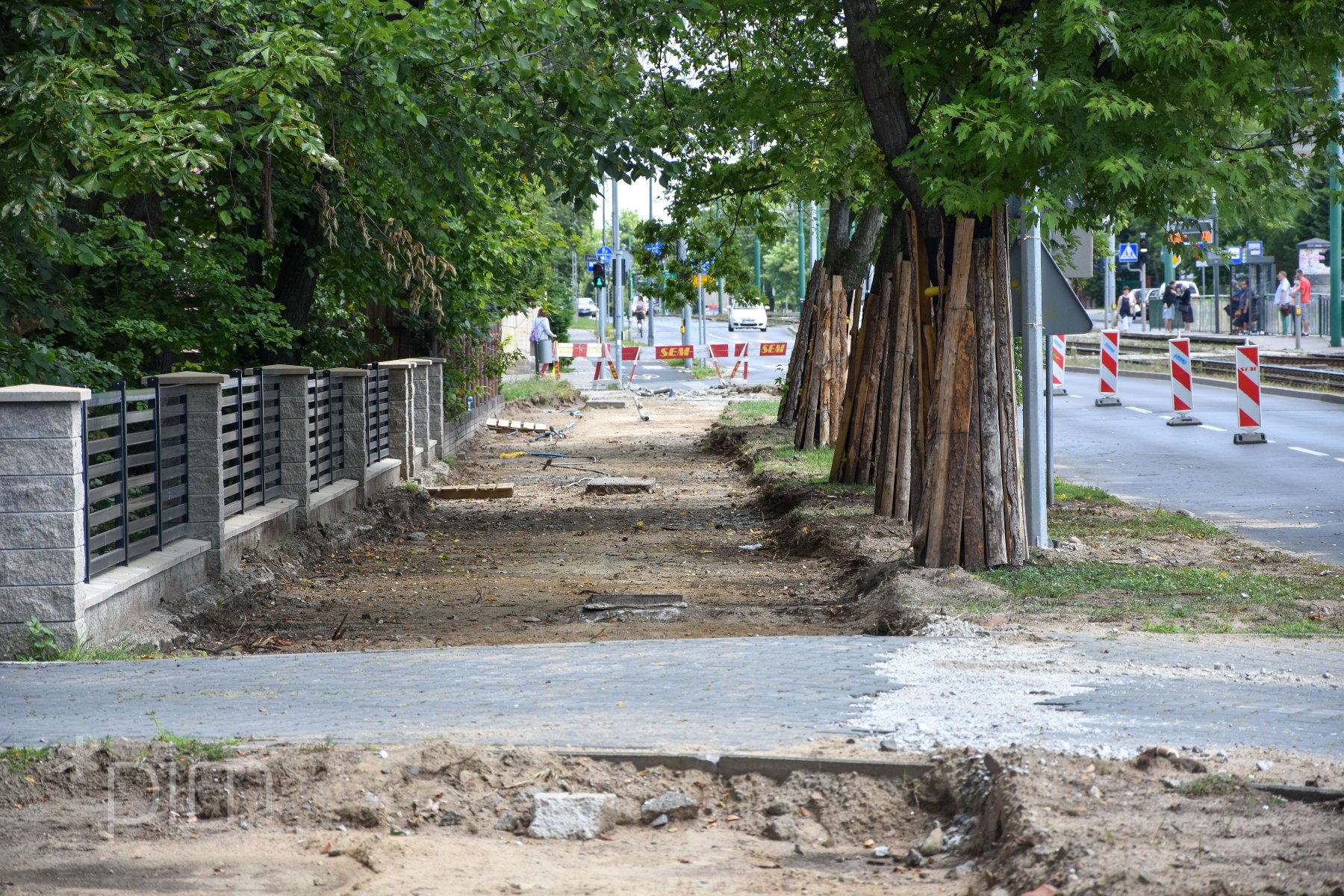Poznań przyjął standardy ochrony drzew - grafika artykułu