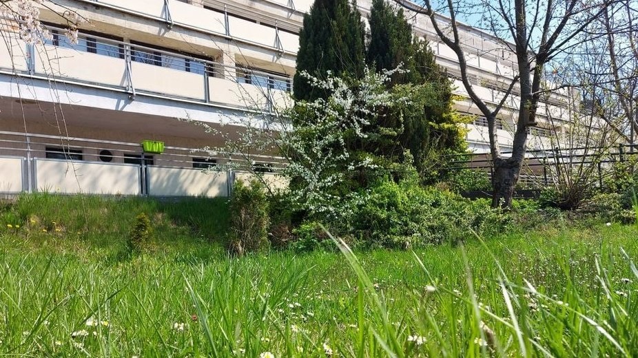 DPS Ugory - grafika artykułu